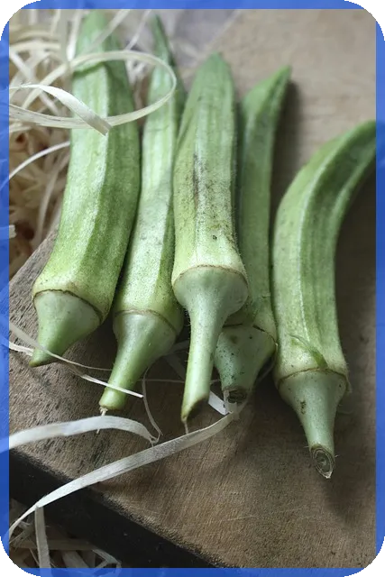 농협햇살론 신청조건 과 승인 전략 공개
