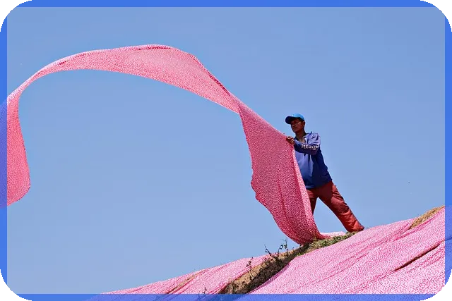 두산건설주가 하락세 지속 원인과 전망 분석