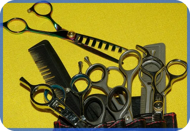 보험블로그를 통한 고객 유입 전략 핵심 비법