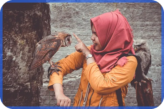 사업계획서샘플 활용법과 최신 예시 분석