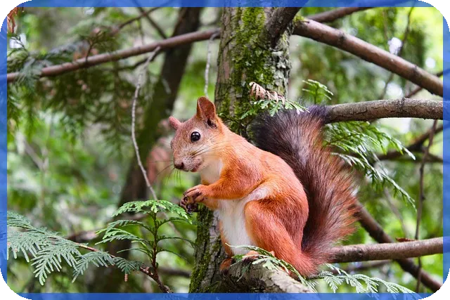 사업계획서샘플 활용법과 최신 예시 분석