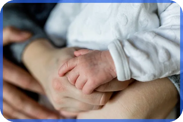 사업계획서샘플 활용법과 최신 예시 분석