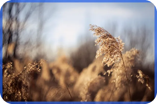 사업계획서샘플 활용법과 최신 예시 분석