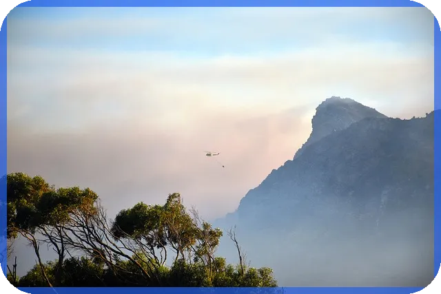 세입자퇴거대출 제한과 임대차 계약 영향 분석