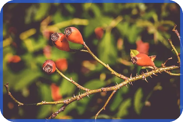 전기차주식 미국 시장에서 경쟁과 성장 전망은