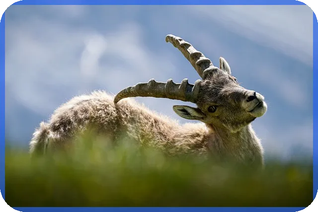 추모예배순서 완벽 가이드로 장례식을 빛내기