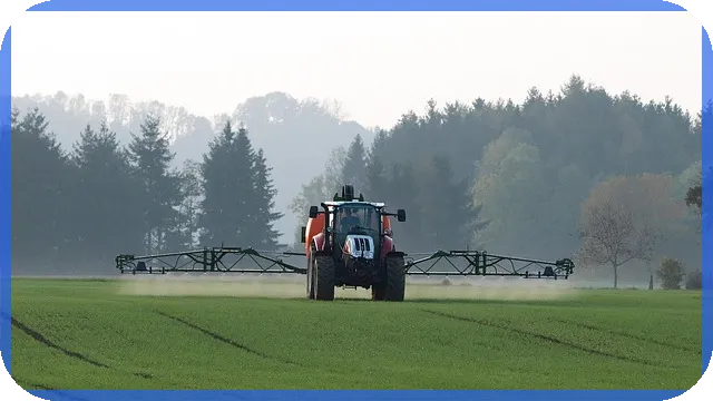 추모예배순서 완벽 가이드로 장례식을 빛내기