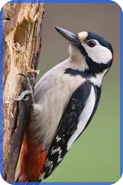 홍대캐리커쳐 체험으로 남기는 특별한 추억