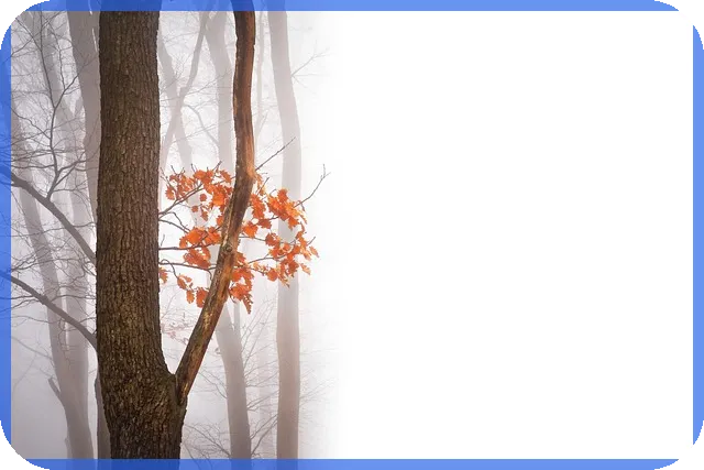 홍대캐리커쳐 체험으로 남기는 특별한 추억