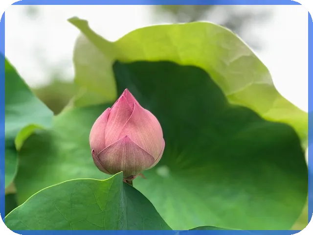 연말정산환급금조회 방법 쉽게 따라하기
